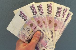 Chtěl investovat, peníze nechal pod stromem. Přišel o 415 tisíc korun - Novinky